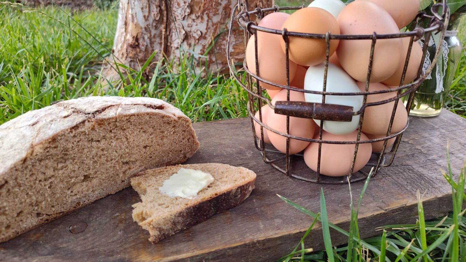 bread and eggs from blue quail farmstead in Farwell TX